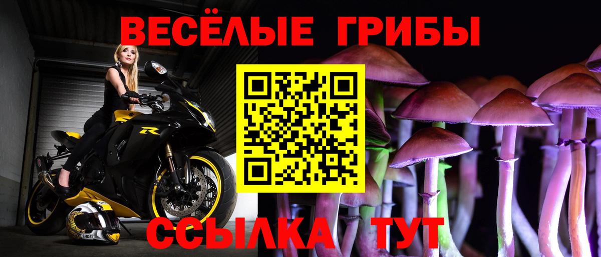 Артёмовский  Псилоцибиновые грибы Psilocybine cubensis  Вход с VPN  Псилоцибиновые грибы мухоморы 